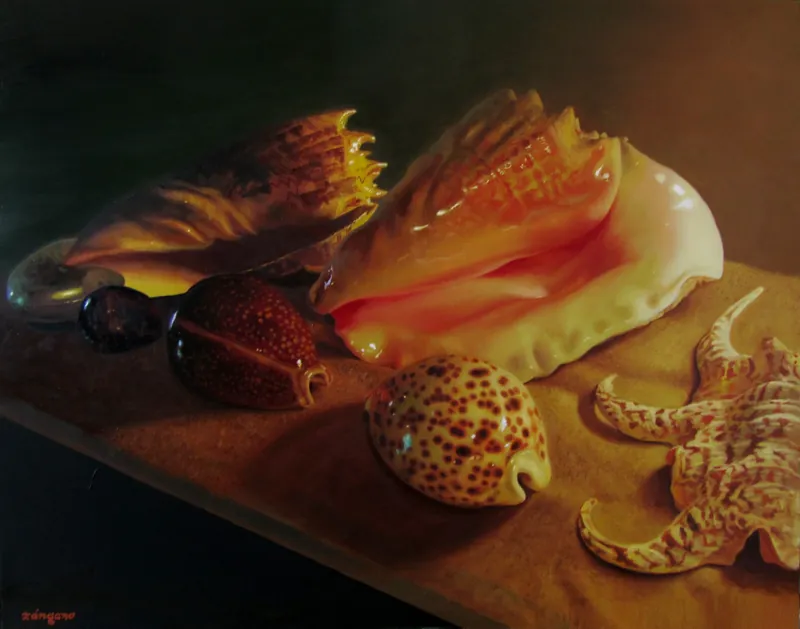 Caracolas y conchas marinas iluminadas sobre una mesa, con fondo oscuro.