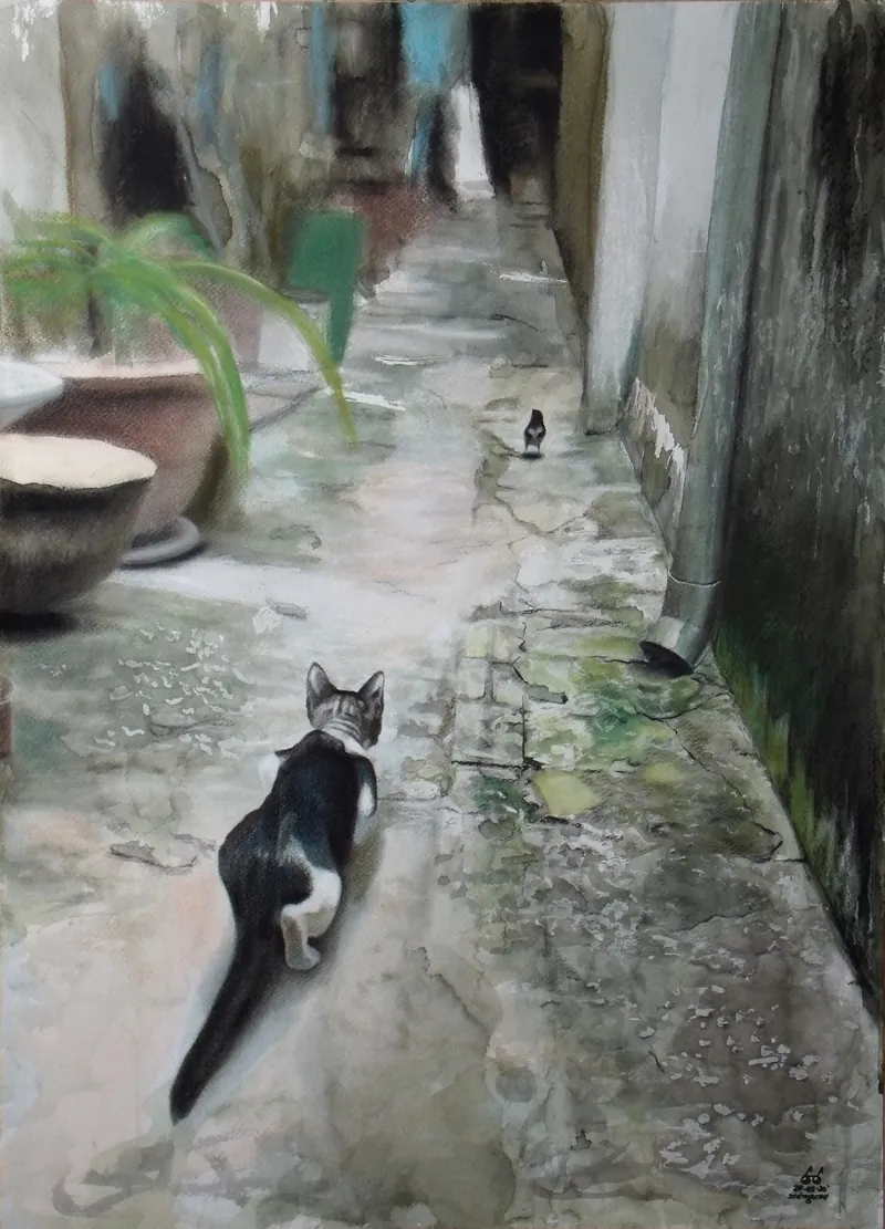 Gato blanco y negro en un pasaje estrecho y húmedo.
