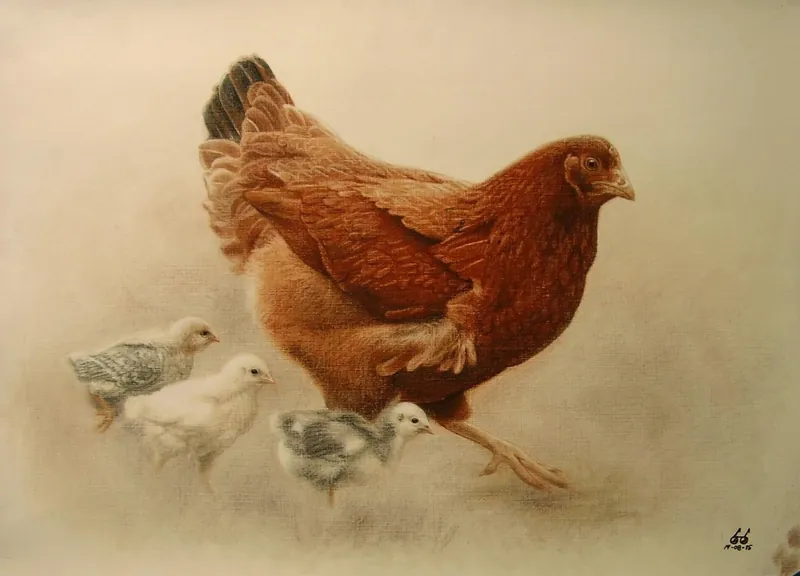 Gallina colorada rodeada de pollitos.